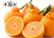 ★2月中旬～発送予定★おすすめフレッシュ柑橘３種詰合せ(約4kg)