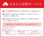 みまもり訪問サービス（6か月）