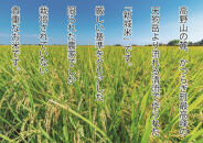 ☆9月下旬より発送☆【特選】新城米(きぬひかり５kg)＜2024年収穫＞