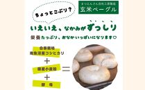 玄米ベーグル10個 南魚沼産コシヒカリ玄米使用【冷凍長期保存、栄養を保持】_BR