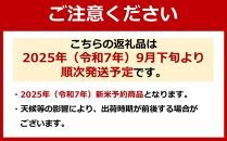 頒布会【令和7年新米～】玄米5kg×6回 南魚沼産コシヒカリ※令和7年9月下旬から順次発送＜6ヶ月定期便＞農家直送_AG