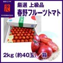 春野フルーツトマト 厳選 上級品 2kg（約40玉） | 元木青果