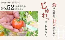 プレミアム徳谷トマト約1kg　24個入り　生産者52番（ウォールナットケース入り）　フルーツトマト