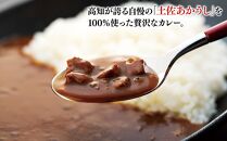 高知土佐あかうしビーフカレー　10食セット【ポイント交換専用】