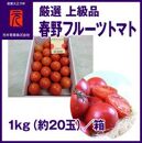 春野フルーツトマト 厳選 上級品 1kg（約20玉）| 元木青果