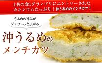 沖うるめのメンチカツ（高知県御畳瀬産）卵不使用　10枚セット 桂フーズ