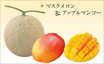高知県産　マスクメロンとアップルマンゴーのセット