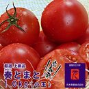 フルーツトマト「奏（かなで）とまと」（小玉）約１kg化粧箱入　土佐郷　元木青果