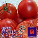 フルーツトマト「奏（かなで）とまと」（小玉）約２kg化粧箱入  土佐郷  元木青果