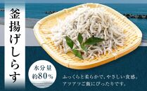 釜揚げしらす 約600ｇ（約300ｇ×2袋）/森国商店 浜で瞬時に釜出し 高知のしらす【ポイント交換専用】