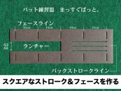 ゴルフ練習用・超高速パターマット 180cm×3ｍと練習用具【ポイント交換専用】