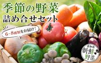 【産地直送新鮮野菜】　高知県産　土佐季節の野菜詰め合せセット