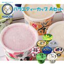 バラエティーカップ Ａセット | 久保田食品 アイス ギフト セット