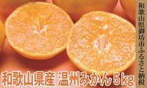 御坊市　旬の野菜・果物定期便（春・夏・秋・冬）4回　(1)