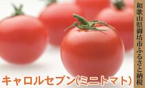 御坊市　旬の野菜・果物定期便（春・夏・秋・冬）4回　(2)