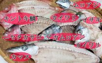 nk031　【訳あり】地魚干物セット（約1.5ｋｇ）