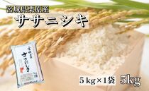 【令和5年産】宮城栗原産 ササニシキ 白米 5kg (5kg×1袋)