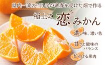 長崎恋みかん 5kg＜期間限定／先行予約＞【2024年11月中旬以降順次発送】【ポイント交換専用】