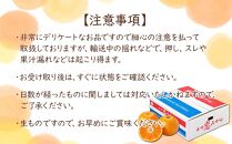 長崎恋みかん 5kg＜期間限定／先行予約＞【2024年11月中旬以降順次発送】【ポイント交換専用】