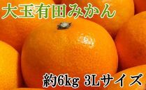 &nbsp;[秀品]和歌山有田みかん約6kg(3Lサイズ)&nbsp;★2026年11月中旬頃より順次発送