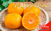 【産直・秀品】和歌山下津みかん約5kg（2Sサイズ）★2025年11月中旬頃より順次発送［TM72］