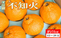［濃厚］有田の不知火約5kg（12～20玉）★2027年2月下旬頃より順次発送［TM33w］