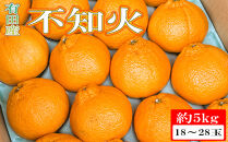 ［濃厚］有田の不知火約5kg（18～28玉）★2027年2月下旬頃より順次発送［TM35w］