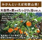 ◆先行予約◆【2023年11月下旬以降出荷】深いコクが自慢の和歌山県産 樹上完熟有田みかん(秀品) 5kg