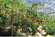 ◆先行予約◆【2023年11月下旬以降出荷】深いコクが自慢の和歌山県産 樹上完熟有田みかん(秀品) 10kg