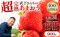 【2027年1月～4月出荷分予約販売】★たっぷり！2倍の量★武下さんちの「完熟あまおう」3Lサイズ&nbsp;900g入り【あまおう&nbsp;完熟&nbsp;いちご&nbsp;苺&nbsp;イチゴ&nbsp;くだもの&nbsp;果物&nbsp;フルーツ&nbsp;大粒&nbsp;900g&nbsp;ご当地&nbsp;ブランド&nbsp;ギフト&nbsp;人気&nbsp;おすすめ&nbsp;送料無料&nbsp;福岡県&nbsp;大川市&nbsp;AA020】