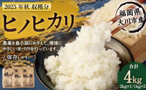 2025年秋収穫分&nbsp;福岡県大川市産ヒノヒカリ&nbsp;4kg&nbsp;|&nbsp;お米&nbsp;米&nbsp;こめ&nbsp;ひのひかり&nbsp;4キロ&nbsp;令和7年産&nbsp;2025年産&nbsp;ご飯&nbsp;ごはん&nbsp;福岡県産