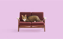 ねこ家具&nbsp;バナードソファー&nbsp;北欧家具デザイン