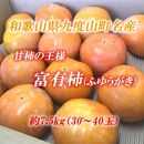 ■[11月中旬より順次発送]和歌山県九度山町産　富有柿 約7.5kg（30～40玉）