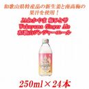 JAわかやま 生姜丸しぼり Wakayama Ginger Ale　和歌山ジンジャーエール 250ml×24本