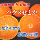 ■[2020年1月上旬より順次発送]和歌山県有田産　ハウスせとか　約4kg　10～15玉