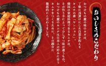 「慶」キムチのカレーと白菜＆オイキムチセット