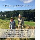 米 令和7年度産【特別栽培米】 石川県産こしひかり 棚田米【玄米】 5kg まっきゃま | 金沢市 お米 こめ 白米 食品 米 コシヒカリ ふるさと納税 米通販 高級米 国産米 ブランド米 日本米 新米 玄米 産地直送 米ギフト 米料理 用途別米 米食文化 米農家 特別栽培米 米品種 米品質 米栽培技術 食感良好米