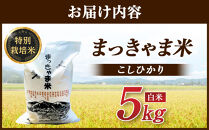 米 令和7年産 【 特別栽培米 】 石川県産 こしひかり 棚田米 白米 5kg　金沢市 お米 こめ 白米 食品 米 コシヒカリ ふるさと納税 米通販 高級米 国産米 ブランド米 日本米 新米 精米 産地直送 米ギフト 米料理 用途別米 米食文化 米農家 特別栽培米 米品種 米品質 米栽培技術 食感良好米