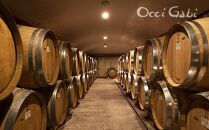 【OcciGabi Winery】スパークリングワイン☆人気の２種飲み比べセット2☆（オチガビブラン・シャルドネ）