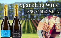 【ギフト用】【OcciGabi Winery】スパークリングワイン☆人気の２種飲み比べセット2☆（オチガビブラン・シャルドネ）