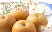 稲田ペアファームのあきづき梨（1）【5～6玉入り】【フルーツ 果物 くだもの 食品 人気 おすすめ 送料無料】