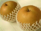 フルーツ松本の豊水梨(ほうすいなし)（1）【5～6玉入り】【フルーツ 果物 くだもの 食品 人気 おすすめ 送料無料】