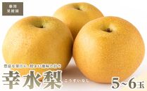 藤渕果樹園の幸水梨(こうすいなし)（1）【5～6玉入り】