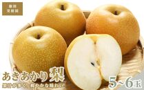 藤渕果樹園のあきあかり梨（1）【5～6玉入り】【フルーツ 果物 くだもの 食品 人気 おすすめ 送料無料】