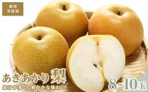 藤渕果樹園のあきあかり梨（2）【8～10玉入り】【フルーツ 果物 くだもの 食品 人気 おすすめ 送料無料】