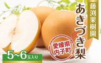 藤渕果樹園のあきづき梨（1）【5～6玉入り】【フルーツ 果物 くだもの 食品 人気 おすすめ 送料無料】