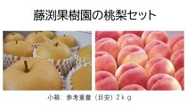 藤渕果樹園の桃・梨セット（1）【各3玉　計6玉入り】