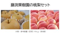 藤渕果樹園の桃・梨セット（2）【各6玉　計12玉入り】
