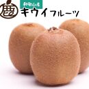 ＜12月から5月中旬発送＞キウイフルーツ2kg＋54g（傷み補償分）【北海道・沖縄配送不可】