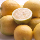 レモン1kg+250g（傷み補償分）［和歌山有田産］［防腐剤・WAX不使用、安心の国産レモン］［IKE128］